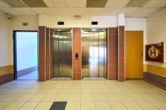 Podjavorynské